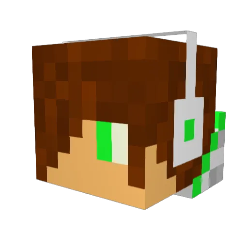 shyguy109 Minecraft avatar head, 3D render