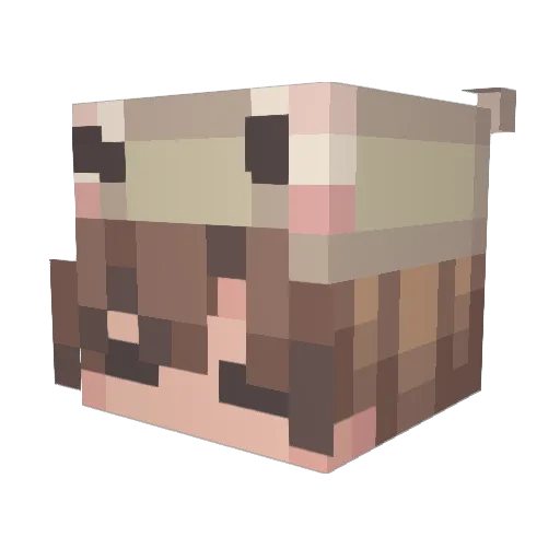 shymk_ Minecraft avatar head, 3D render