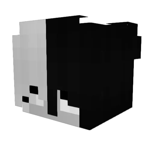 shynygamy Minecraft avatar head, 3D render