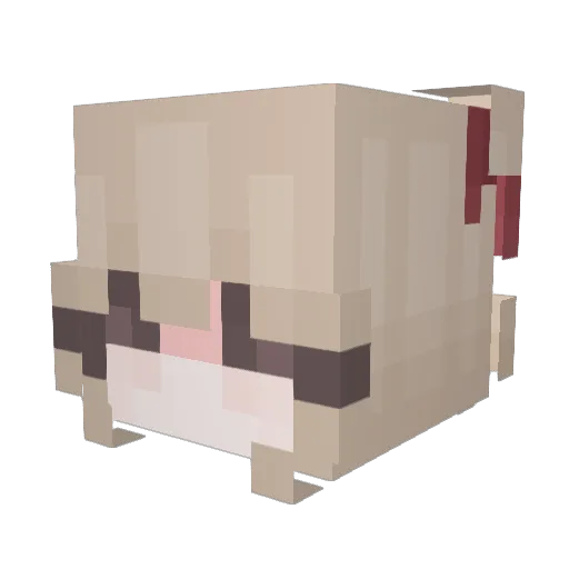 shyun527 Minecraft avatar head, 3D render