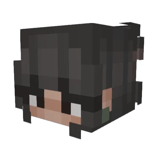 shyyyyyyyyyy Minecraft avatar head, 3D render