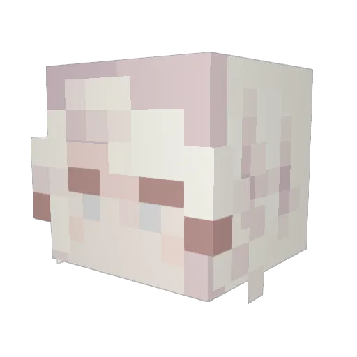 si10k Minecraft avatar head, 3D render