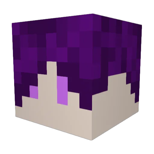siKoN0715 Minecraft avatar head, 3D render