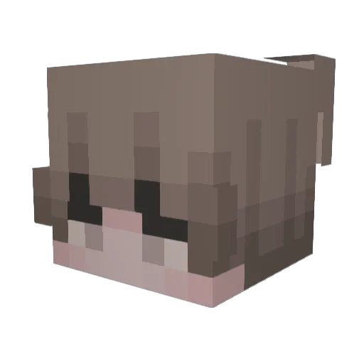 sian0520 Minecraft avatar head, 3D render