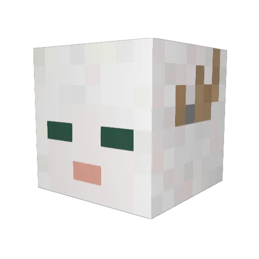 siano_bacteria Minecraft avatar head, 3D render