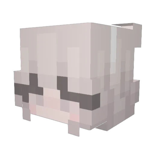 siaoantw Minecraft avatar head, 3D render