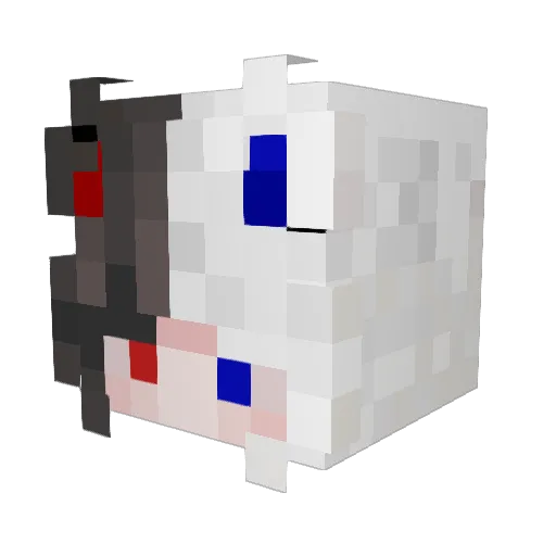 sibainu525 Minecraft avatar head, 3D render