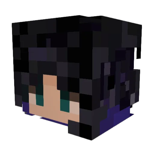 sibyl6 Minecraft avatar head, 3D render