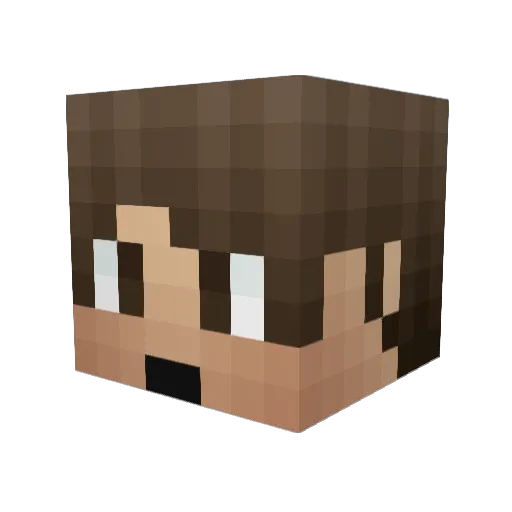 sicdom9907 Minecraft avatar head, 3D render
