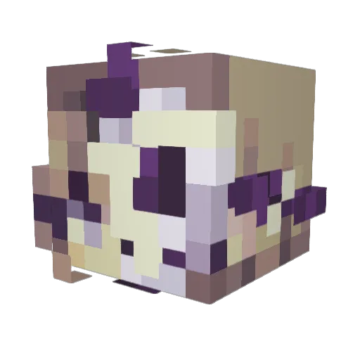 sick0fhome Minecraft avatar head, 3D render