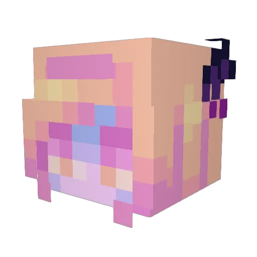 sick_nastyy Minecraft avatar head, 3D render