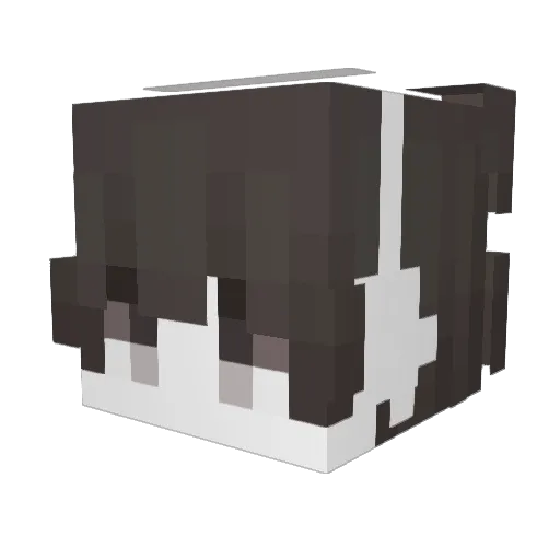 sickandnauseous Minecraft avatar head, 3D render