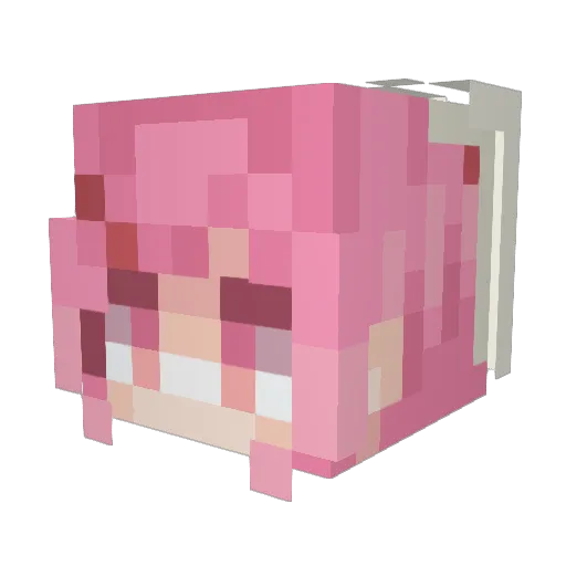 sicklikeadog Minecraft avatar head, 3D render