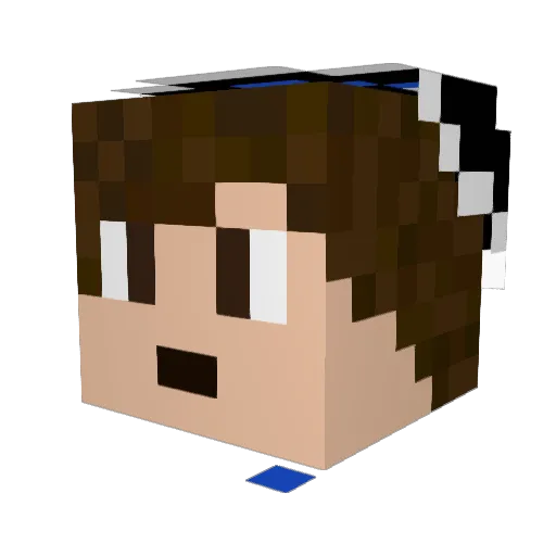 sicko_toad87 Minecraft avatar head, 3D render