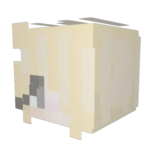 sickshyangel Minecraft avatar head, 3D render