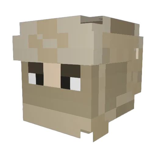 sidddz Minecraft avatar head, 3D render