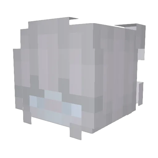 siddyrubi Minecraft avatar head, 3D render