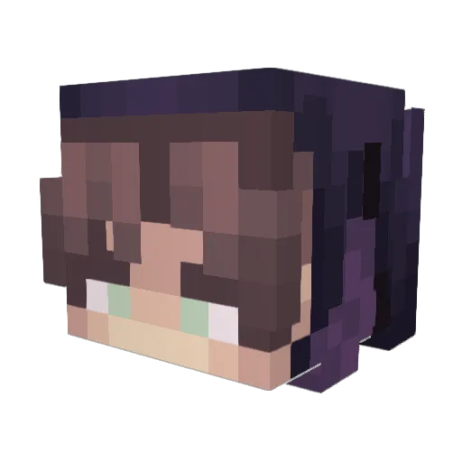 sidefall Minecraft avatar head, 3D render