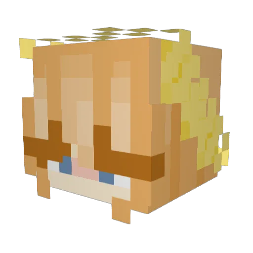 sidkist Minecraft avatar head, 3D render