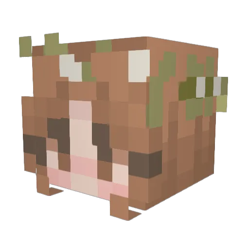 sidliz Minecraft avatar head, 3D render