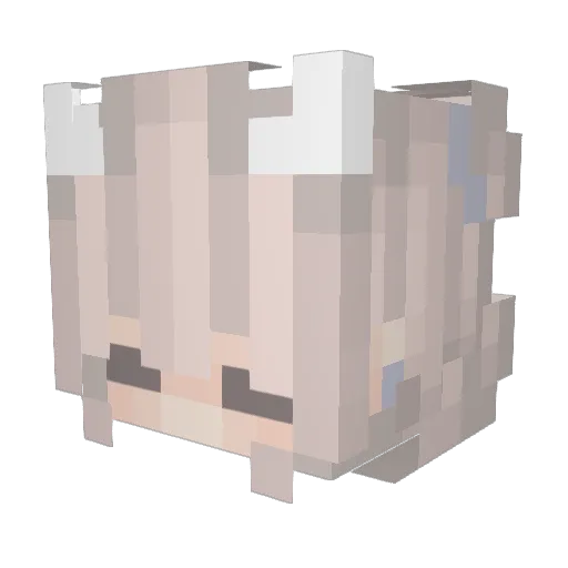 sidos1 Minecraft avatar head, 3D render
