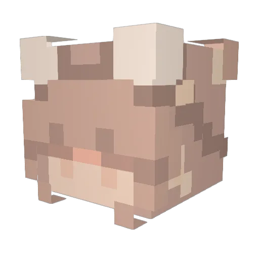 sidrha Minecraft avatar head, 3D render