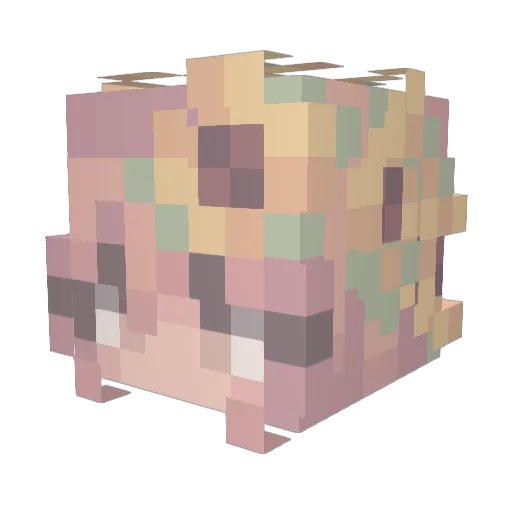 sidrrrr Minecraft avatar head, 3D render