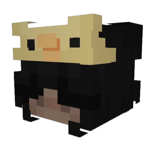 siee Minecraft avatar head, 3D render
