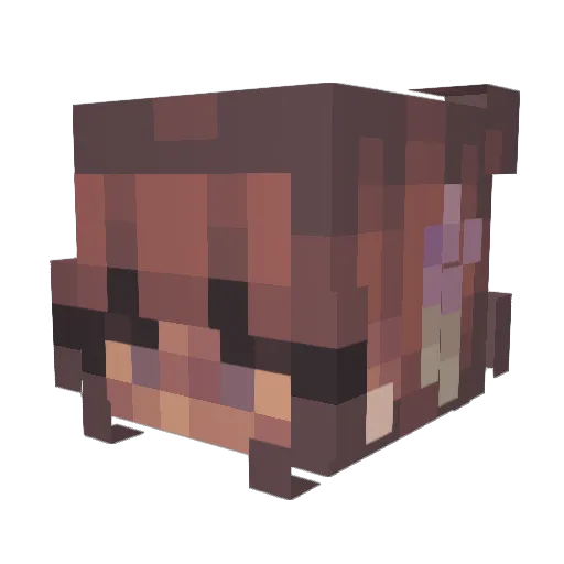sienna1117 Minecraft avatar head, 3D render