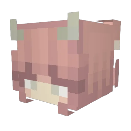 siennaaaaa Minecraft avatar head, 3D render