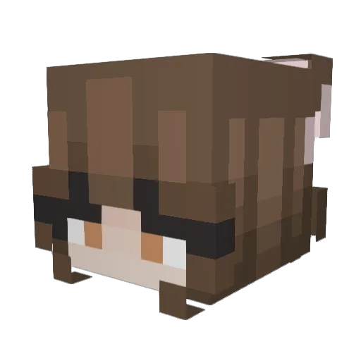 sierramistyy Minecraft avatar head, 3D render