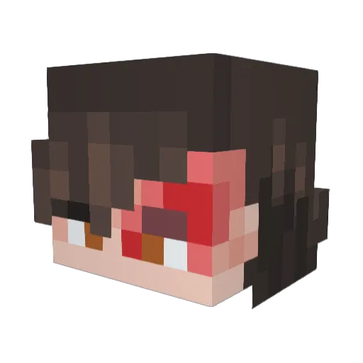 sifu_hotman_ Minecraft avatar head, 3D render