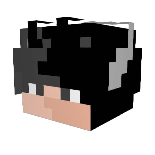 sigag Minecraft avatar head, 3D render