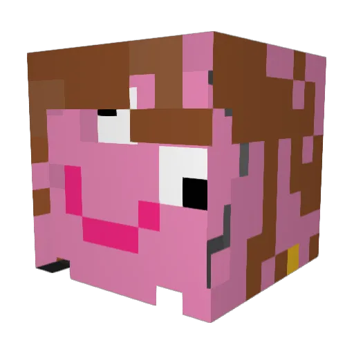 siggsasagg Minecraft avatar head, 3D render