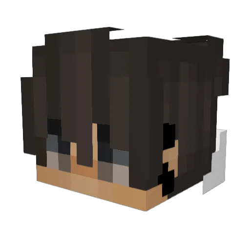 siggy030 Minecraft avatar head, 3D render