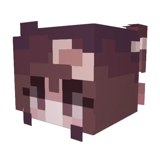 sighhhhhh Minecraft avatar head, 3D render
