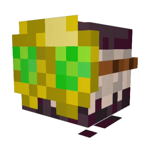 sigi4965 Minecraft avatar head, 3D render