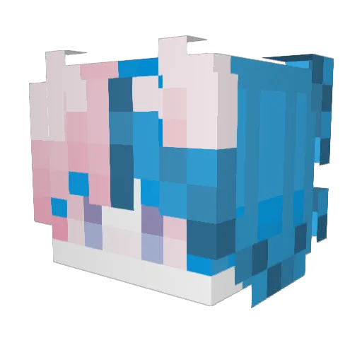 sigilfunk Minecraft avatar head, 3D render