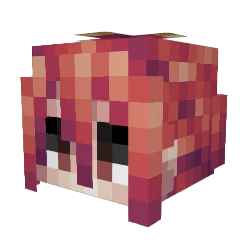 sigilica Minecraft avatar head, 3D render
