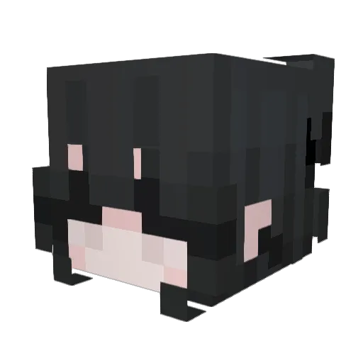 sigilll Minecraft avatar head, 3D render