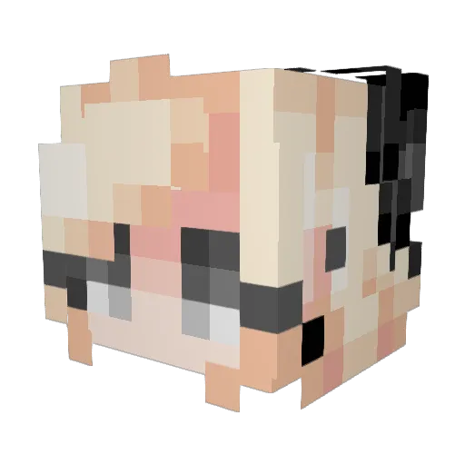 sigmp5 Minecraft avatar head, 3D render