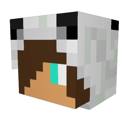 sign9698 Minecraft avatar head, 3D render