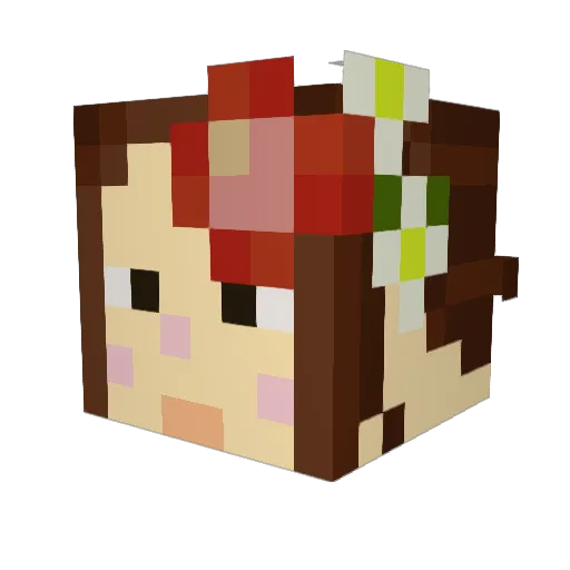 sign_chaser Minecraft avatar head, 3D render