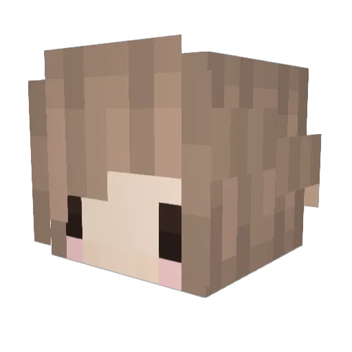 signaI Minecraft avatar head, 3D render