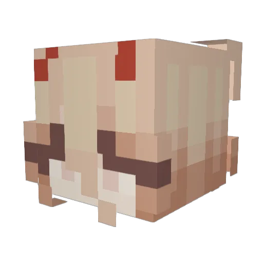 signalwest Minecraft avatar head, 3D render