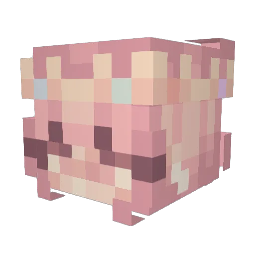 signedpancake Minecraft avatar head, 3D render