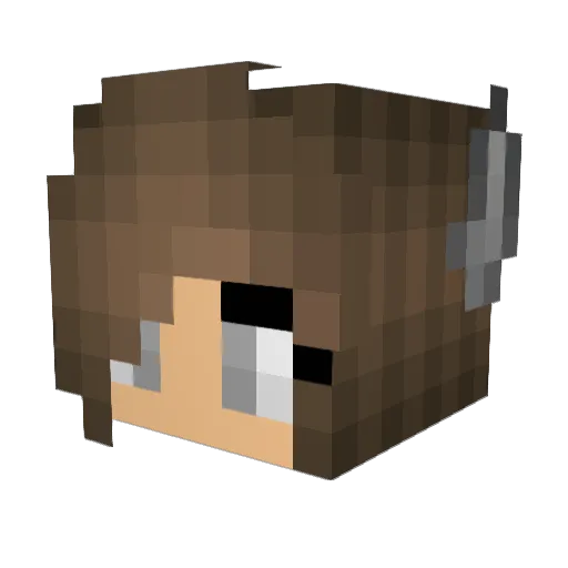 signewulff Minecraft avatar head, 3D render