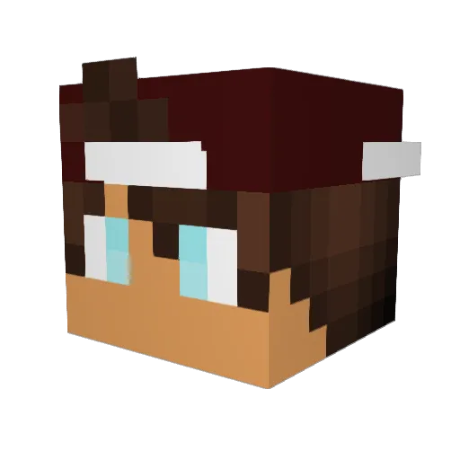 signstring Minecraft avatar head, 3D render