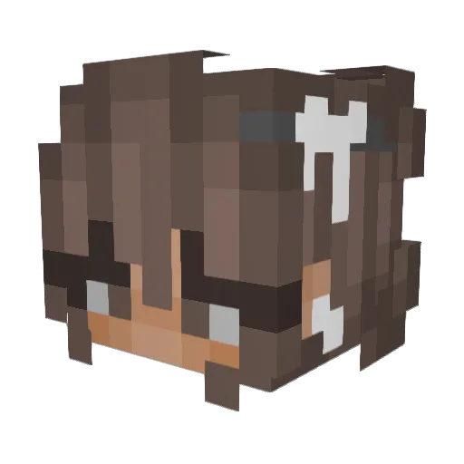 sigourney2005 Minecraft avatar head, 3D render