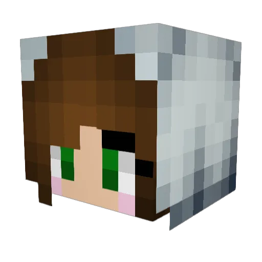 sigurd388 Minecraft avatar head, 3D render